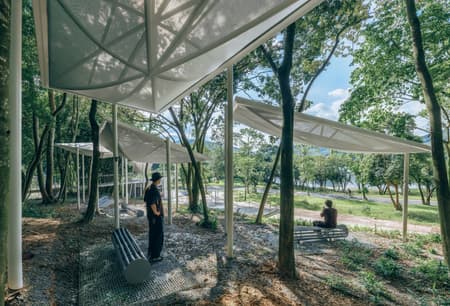 Floating Canopy Grove