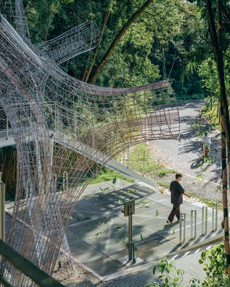 Floating Canopy Grove