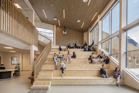 Flakstad School