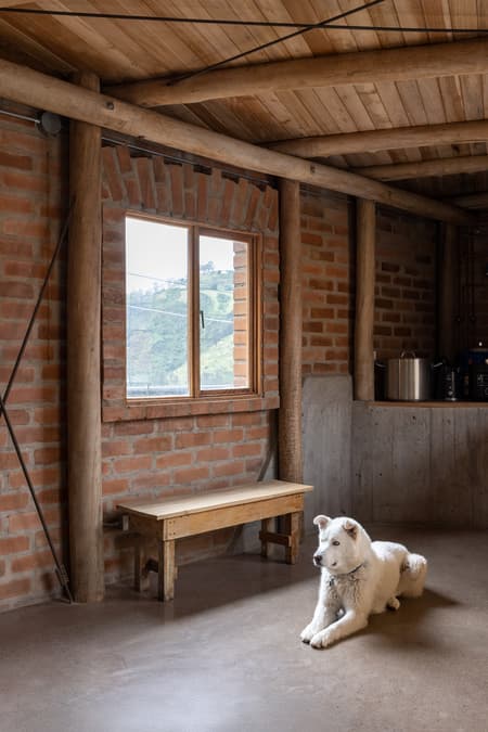 House in La Vicentina