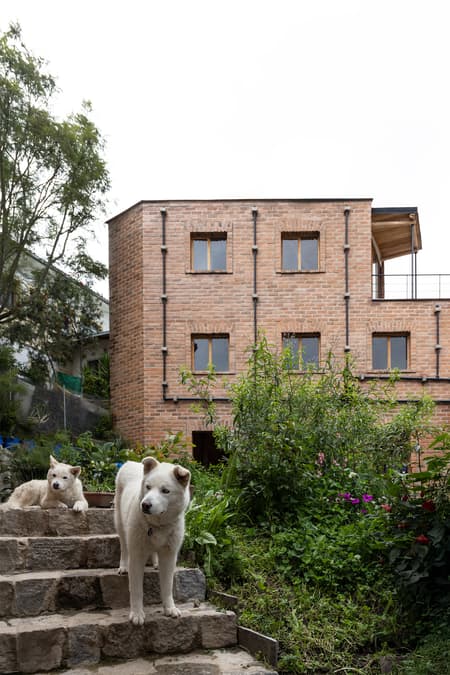 House in La Vicentina