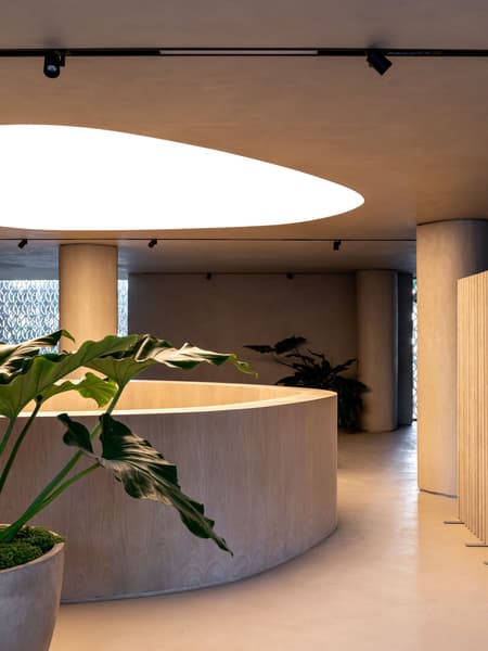 +55 Design Store 