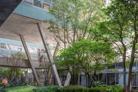 Shenzhen Art High School 