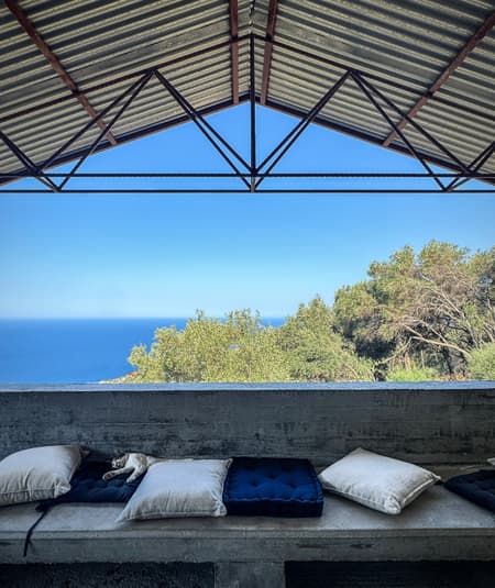House in an Olive Grove