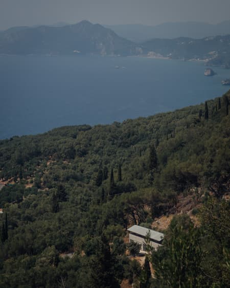 House in an Olive Grove