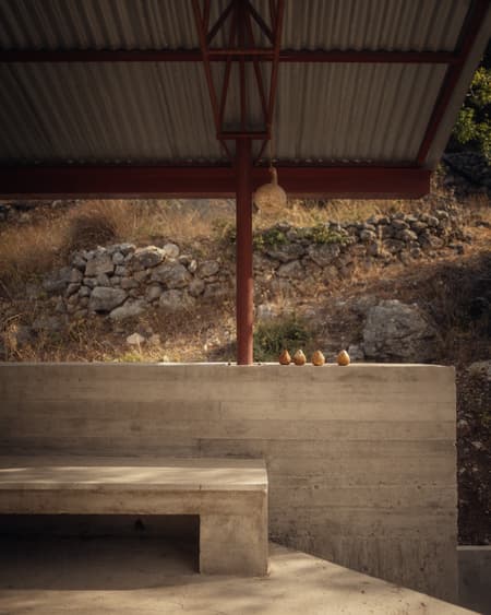 House in an Olive Grove