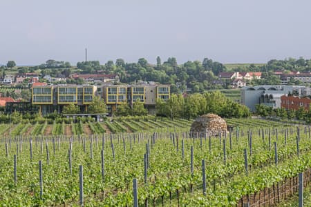 Loisium Hotel Expansion