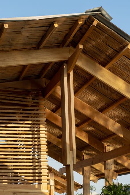 The Floating Neighborhood of Las Balsas