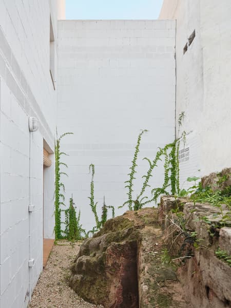 11 Social Houses in Palma