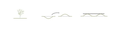 Scenic Garden, Bosque de Chapultepec