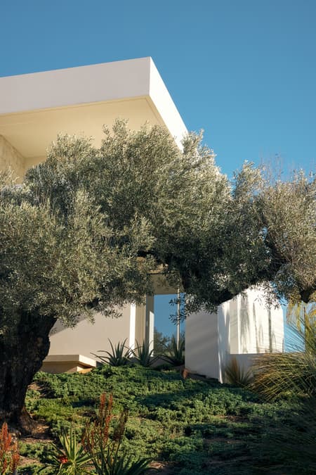 Casa L5