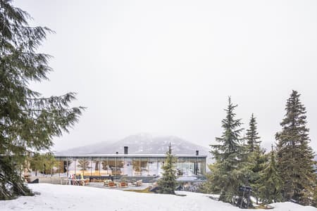 Flag House