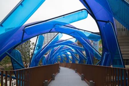 Light Vortex Bridge