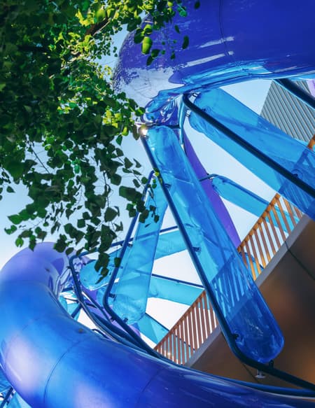 Light Vortex Bridge
