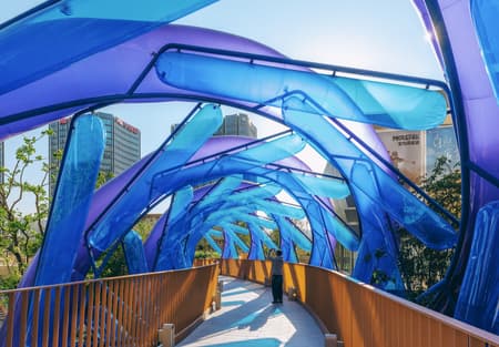 Light Vortex Bridge