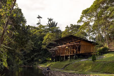 Hoguera de Madera Refuge