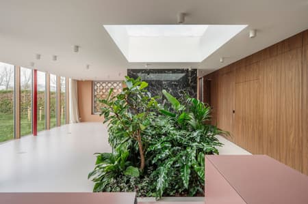 Patio House