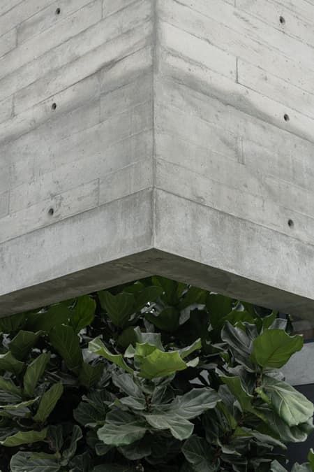 Trama House