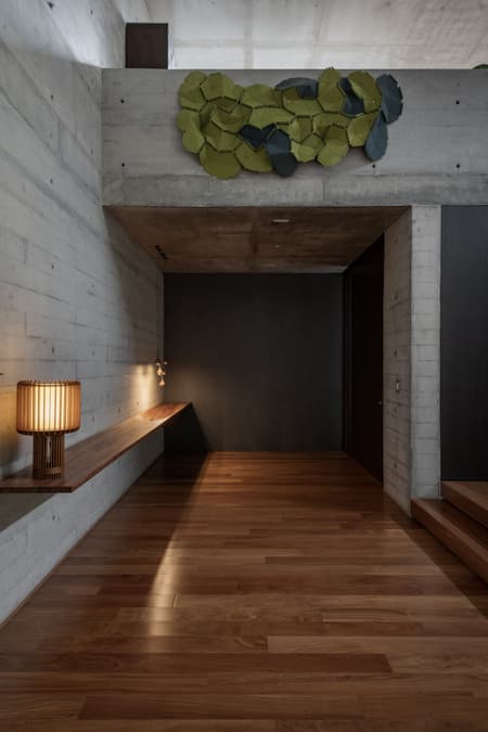 Trama House