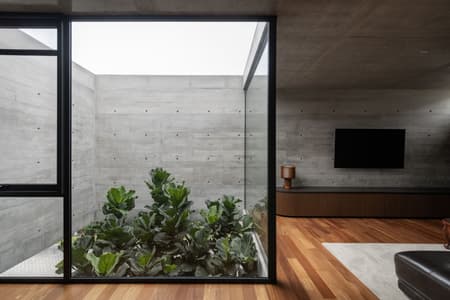 Trama House