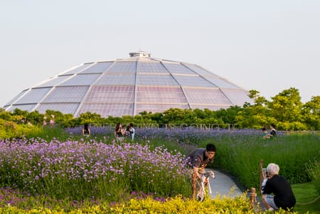 West Bund Dome Art Center
