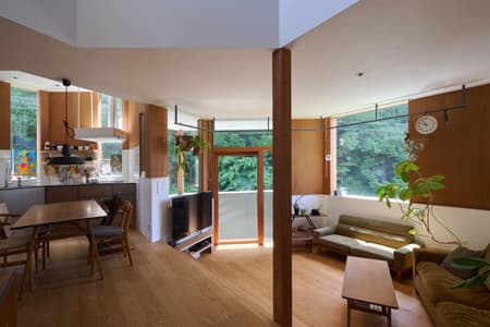 Hokusetsu Polygon House