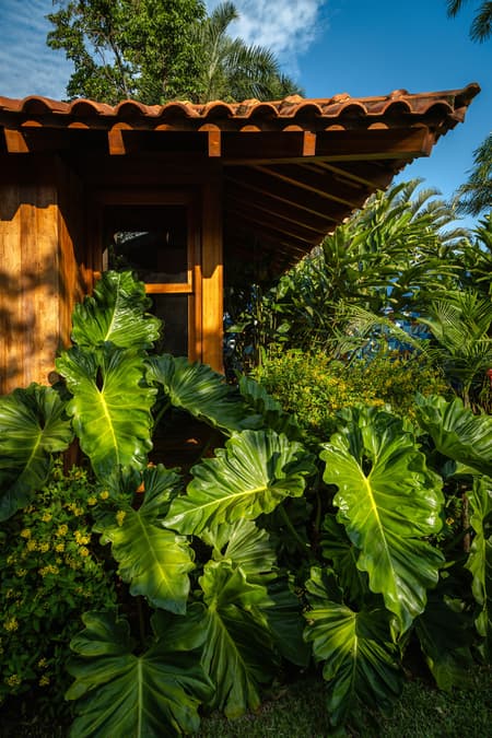 Barão Geraldo House