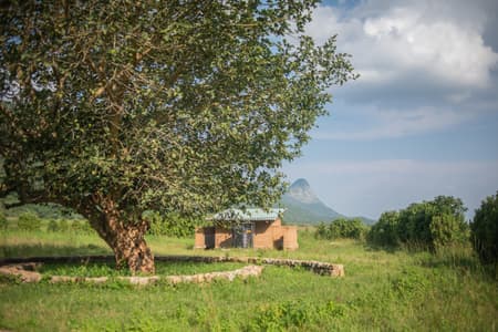 AWF Schools Karamoja