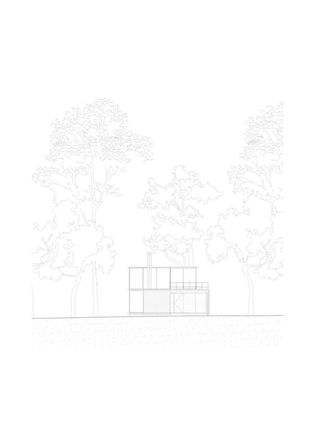 Eucalyptus House