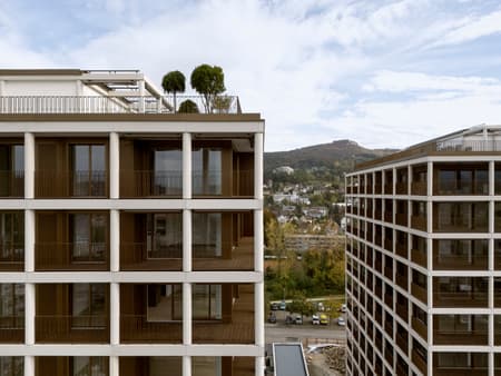 Max Towers