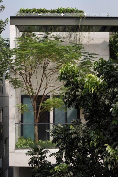 Amore - Omor Residence