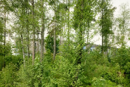 Lakehouse Wendelstrand