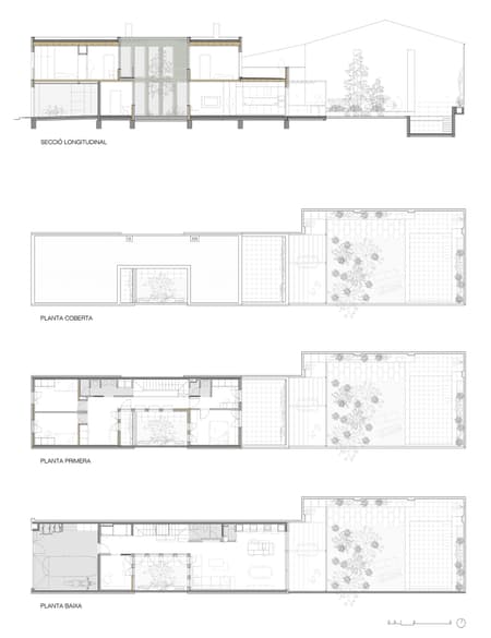 117BOF A house to live around a tree