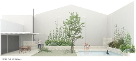 117BOF A house to live around a tree