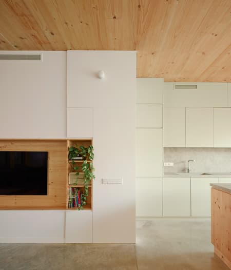 117BOF A house to live around a tree