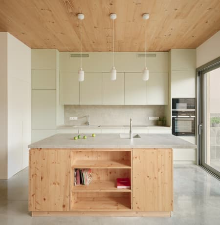 117BOF A house to live around a tree