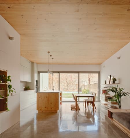 117BOF A house to live around a tree