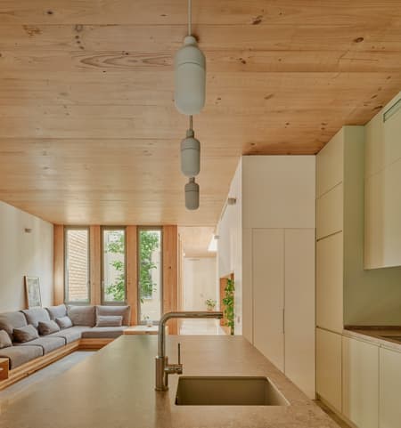 117BOF A house to live around a tree