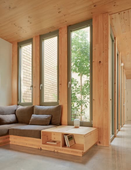 117BOF A house to live around a tree
