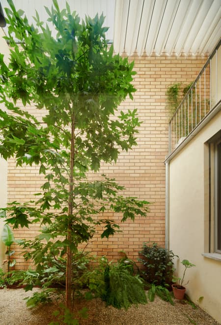 117BOF A house to live around a tree