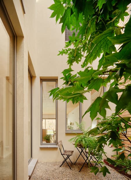 117BOF A house to live around a tree