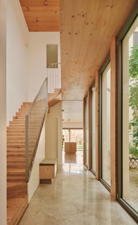 117BOF A house to live around a tree