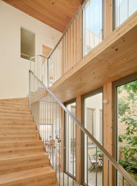 117BOF A house to live around a tree