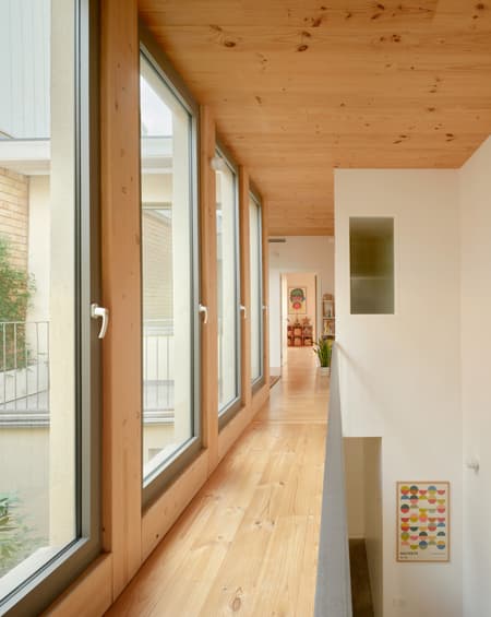 117BOF A house to live around a tree