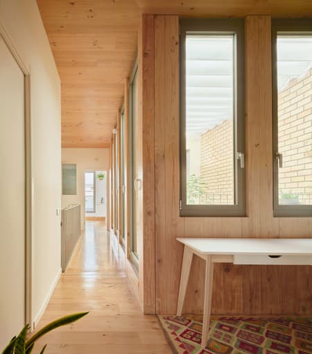 117BOF A house to live around a tree