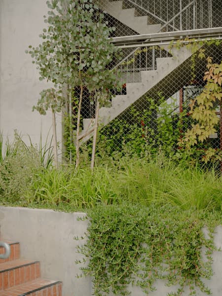 Nightingale Village Leftfield