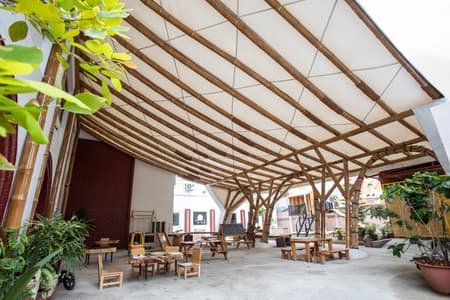 Canopy