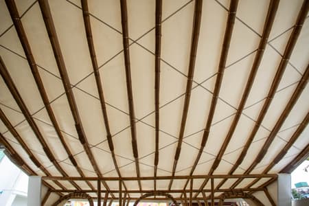 Canopy