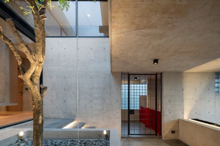 P Home