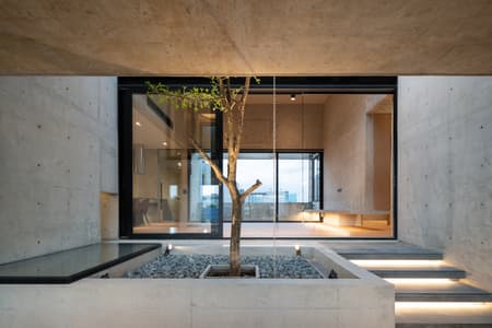 P Home